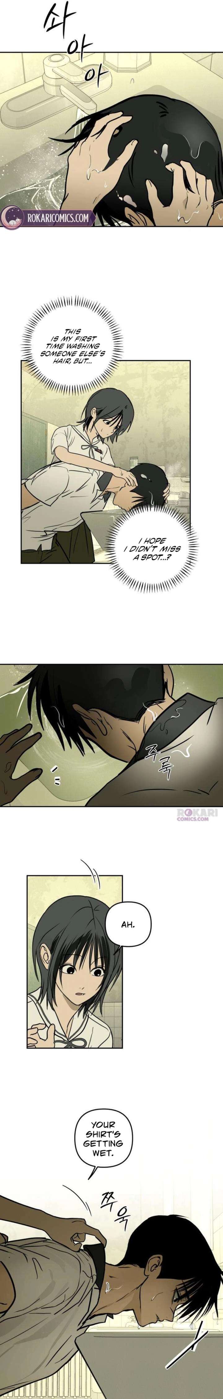 ch 19 7
