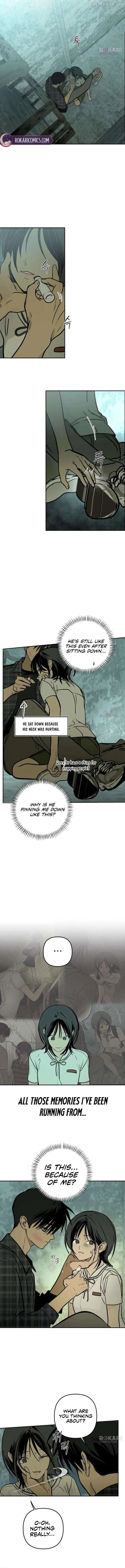 8b5597e3c73b