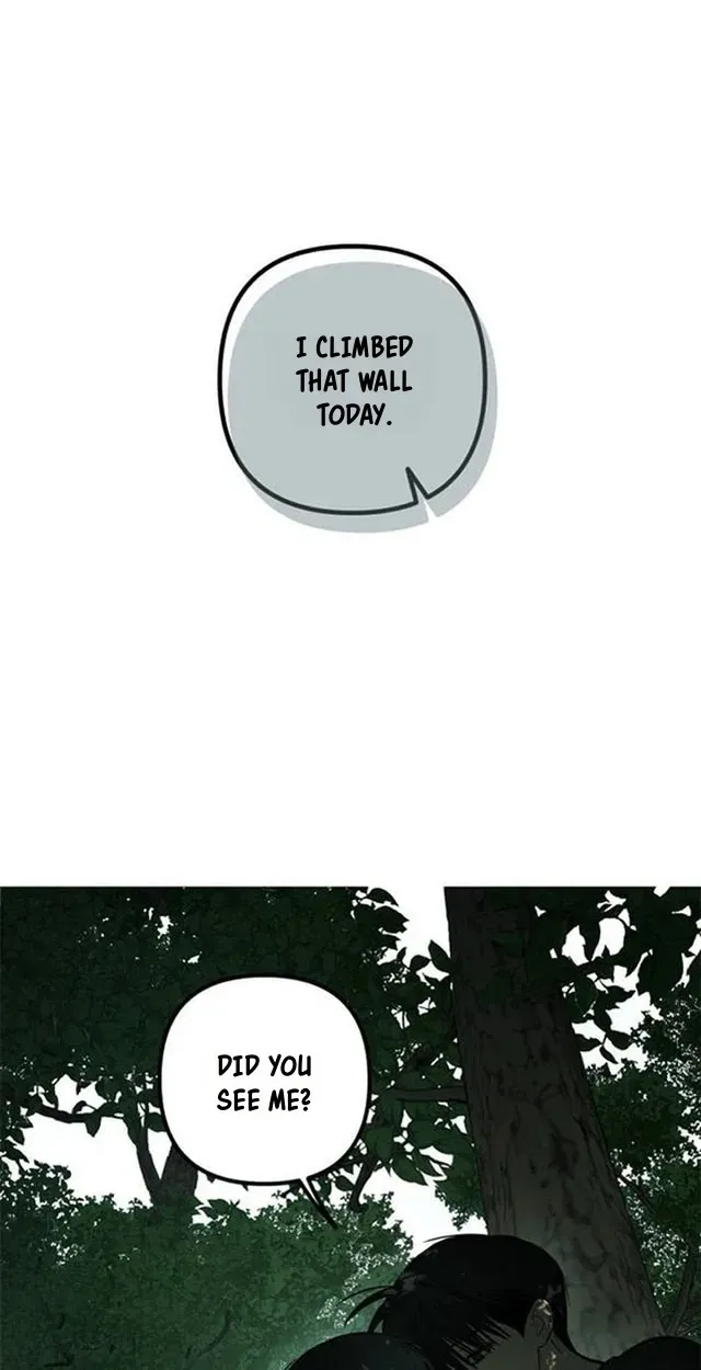 c08f3e050c98