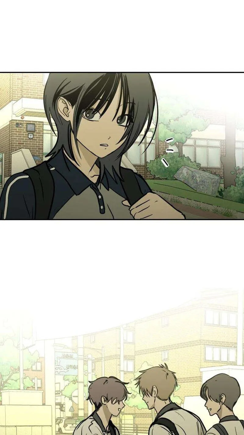 6c536d321c6c