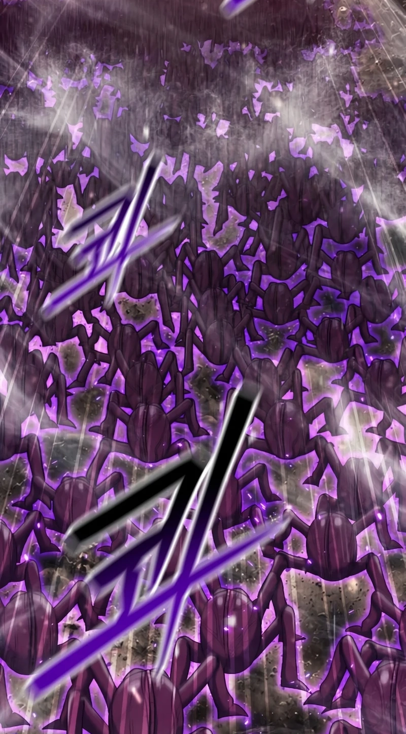 c3b12269f4f6