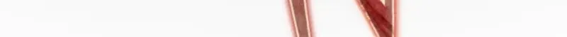 I Was Reincarnated as the Villainess’s Sister Chapter 28 429 1bc959e0ebee 107 webp