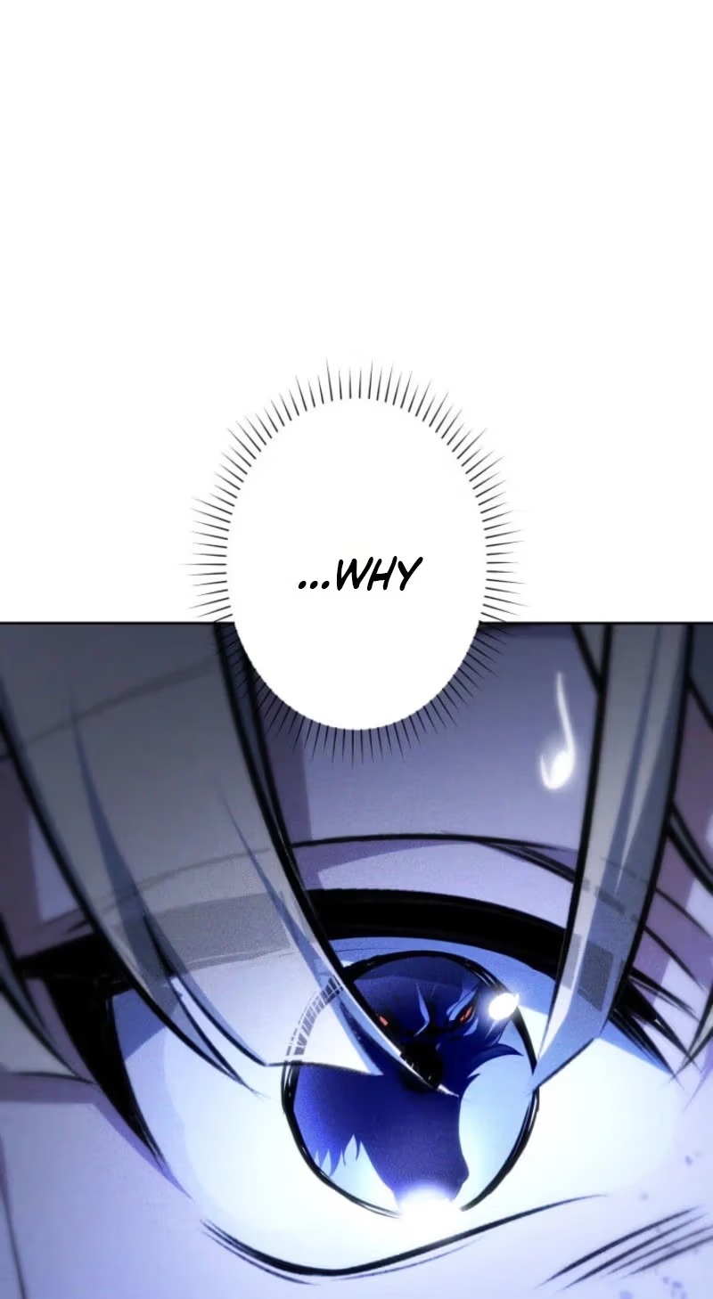 d934ca8161c5 97