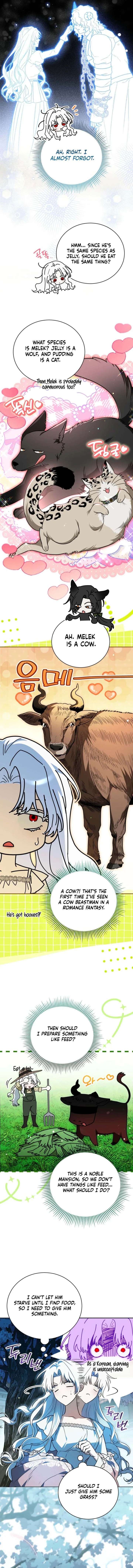 ch 28 8