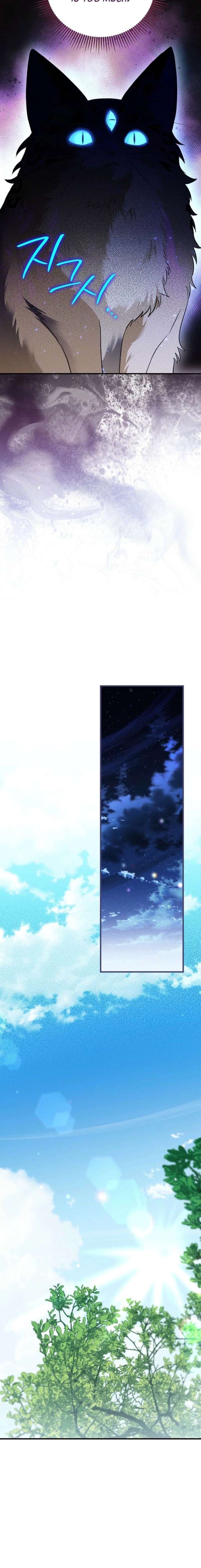 ch 3 17