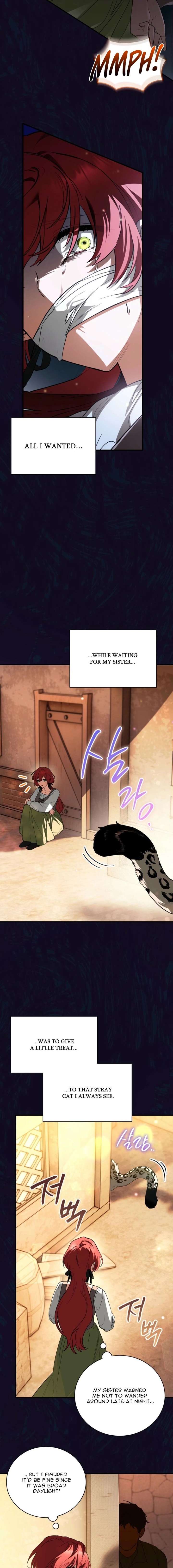 ch 5 6