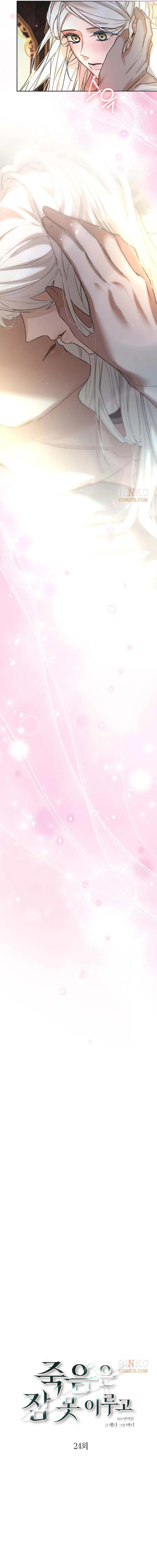 3 webp