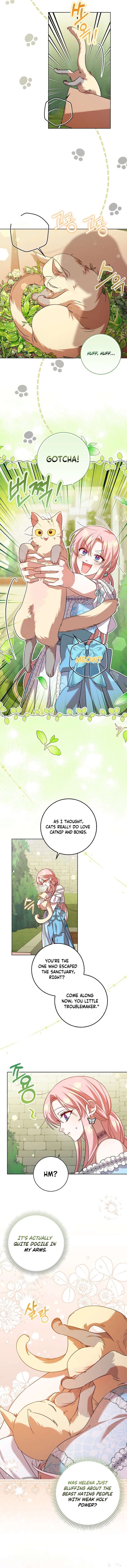 ch 12 11