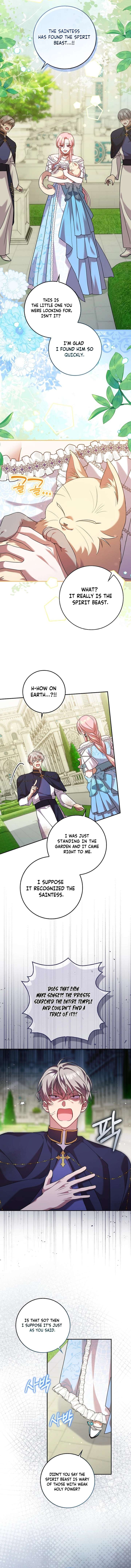 ch 12 13