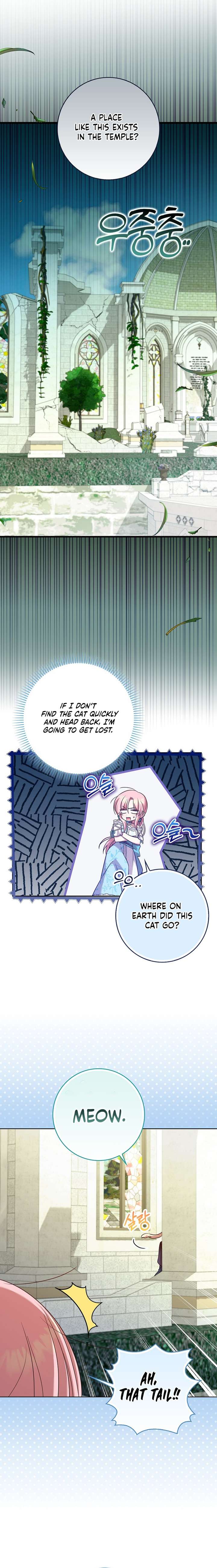 ch 13 6