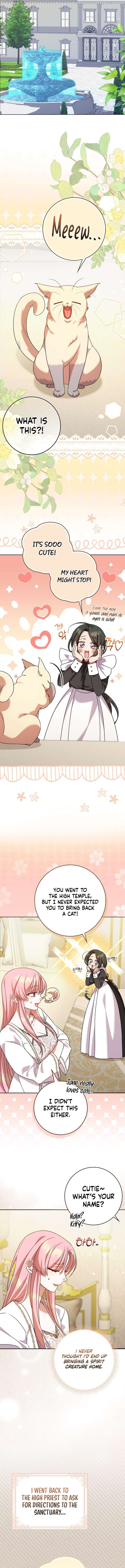 ch 14 11