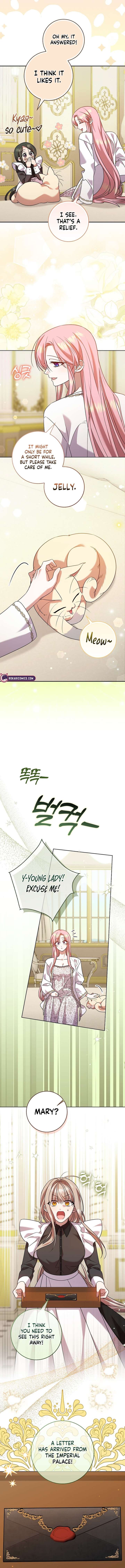 ch 14 15