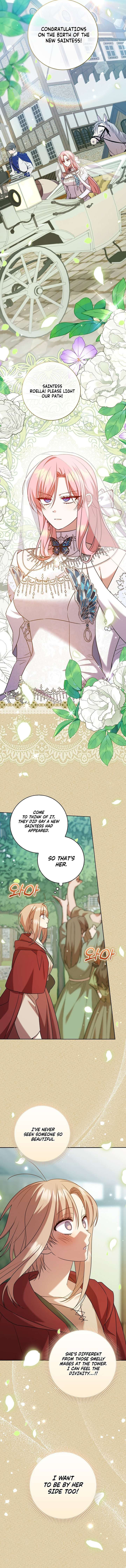 ch 17 13