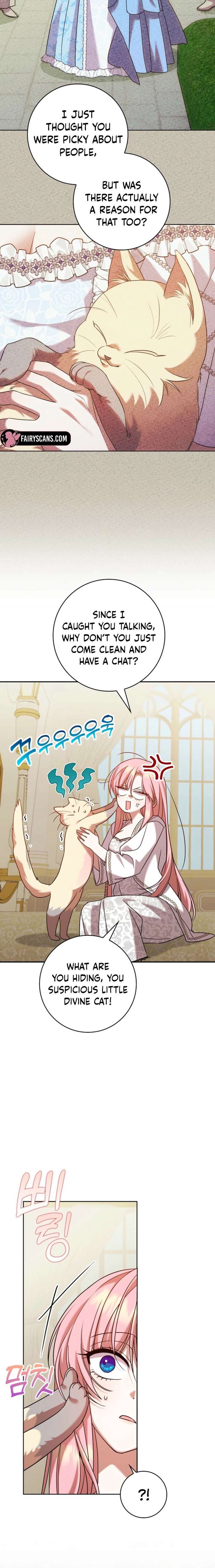 ch 21 20