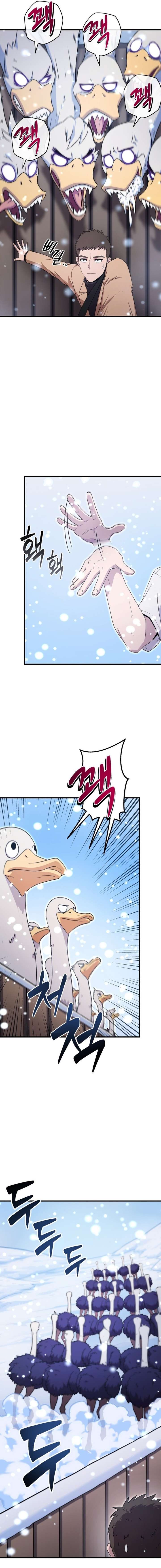 017