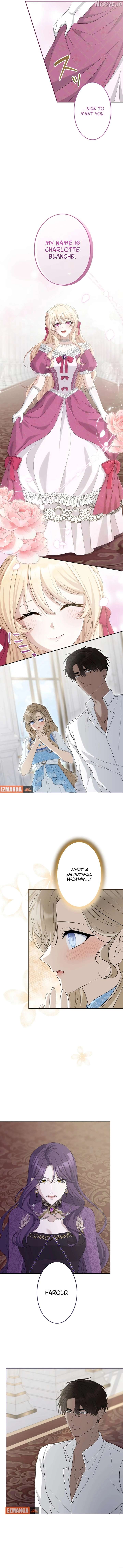 ch 11 8