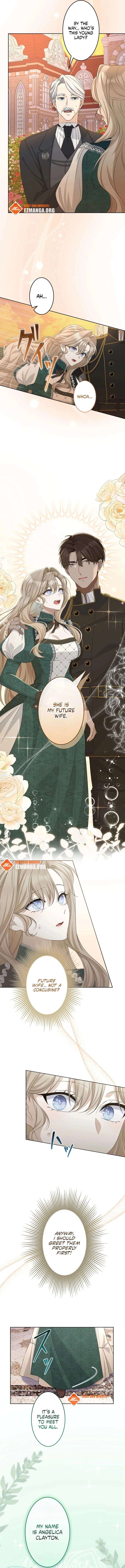 ch 7 3
