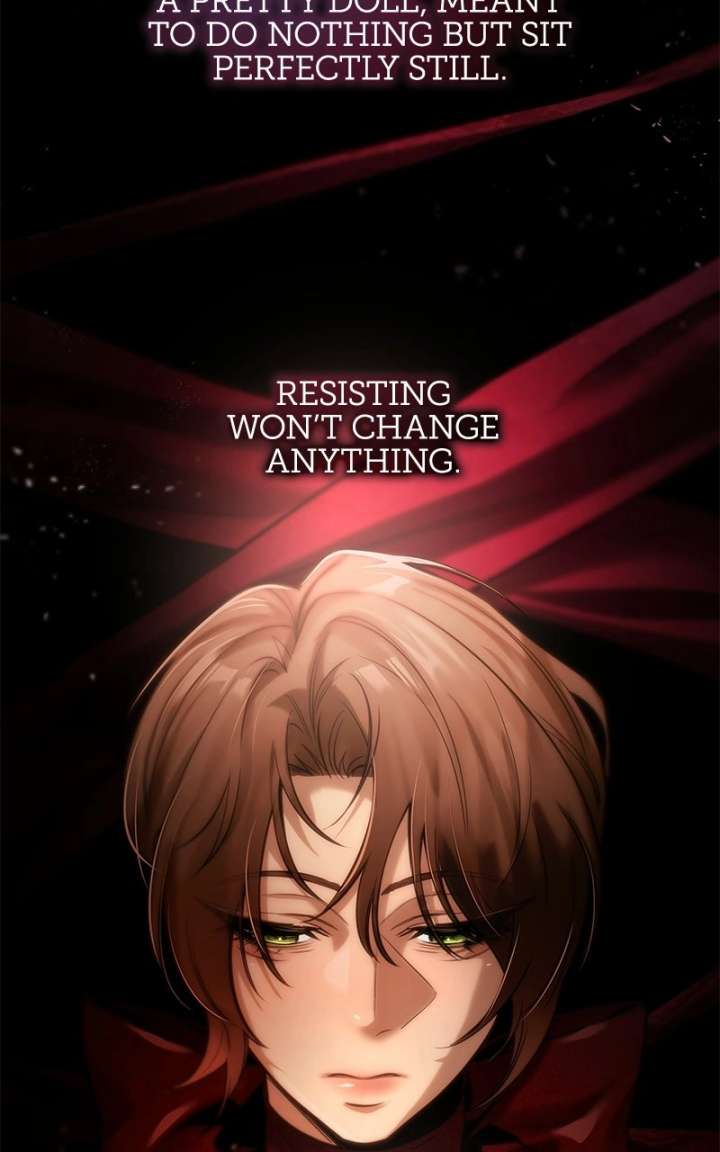 ch 11 17