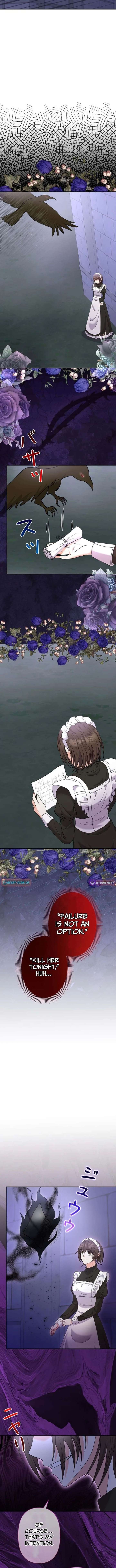 ch 20 11