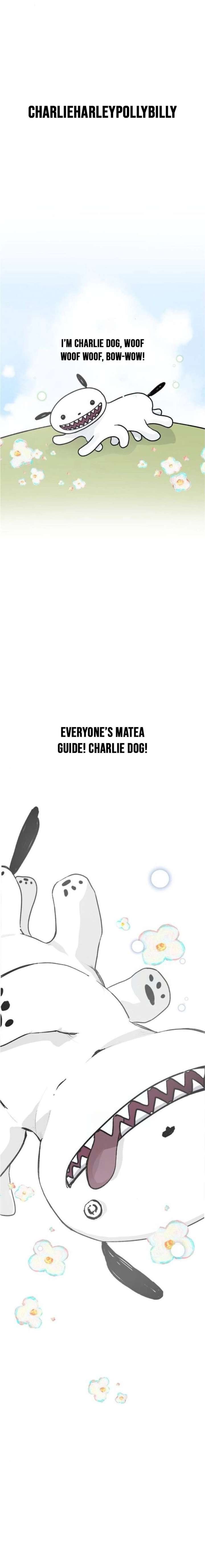 ch 4 2