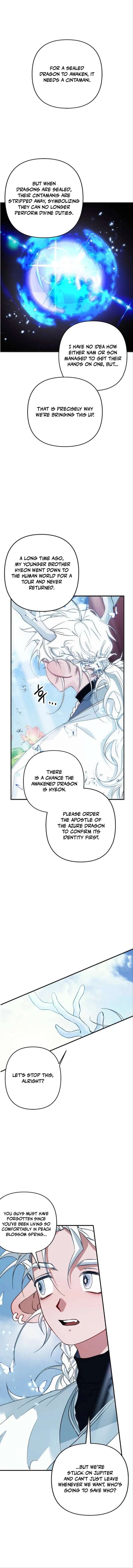 ch 5 4