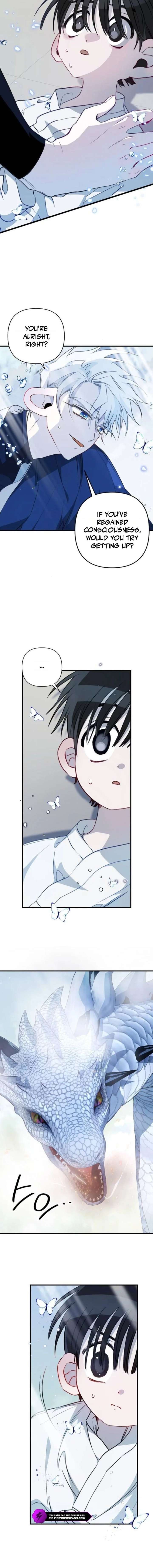 ch 7 19