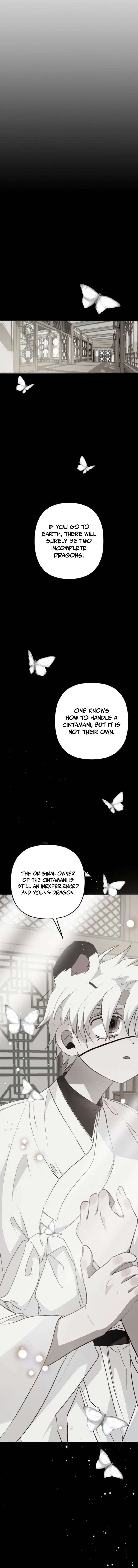 ch 7 33