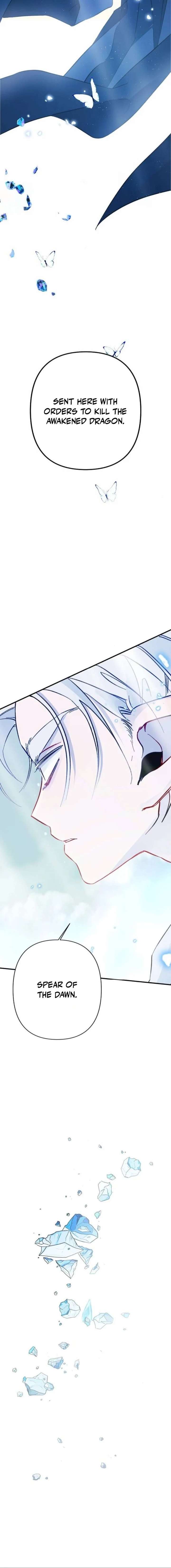 ch 7 4