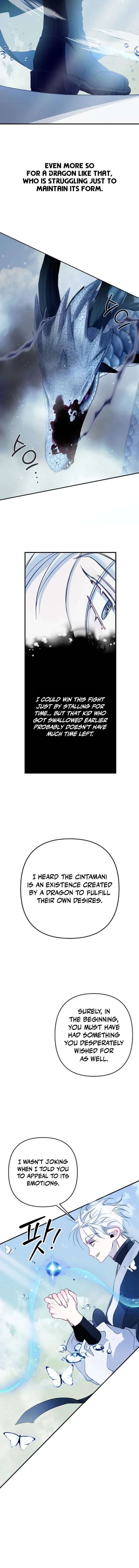 ch 7 8