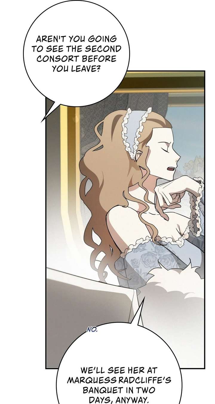 Once an Assassin, Now a Royal Nanny Chapter 13 264 ch 13 15