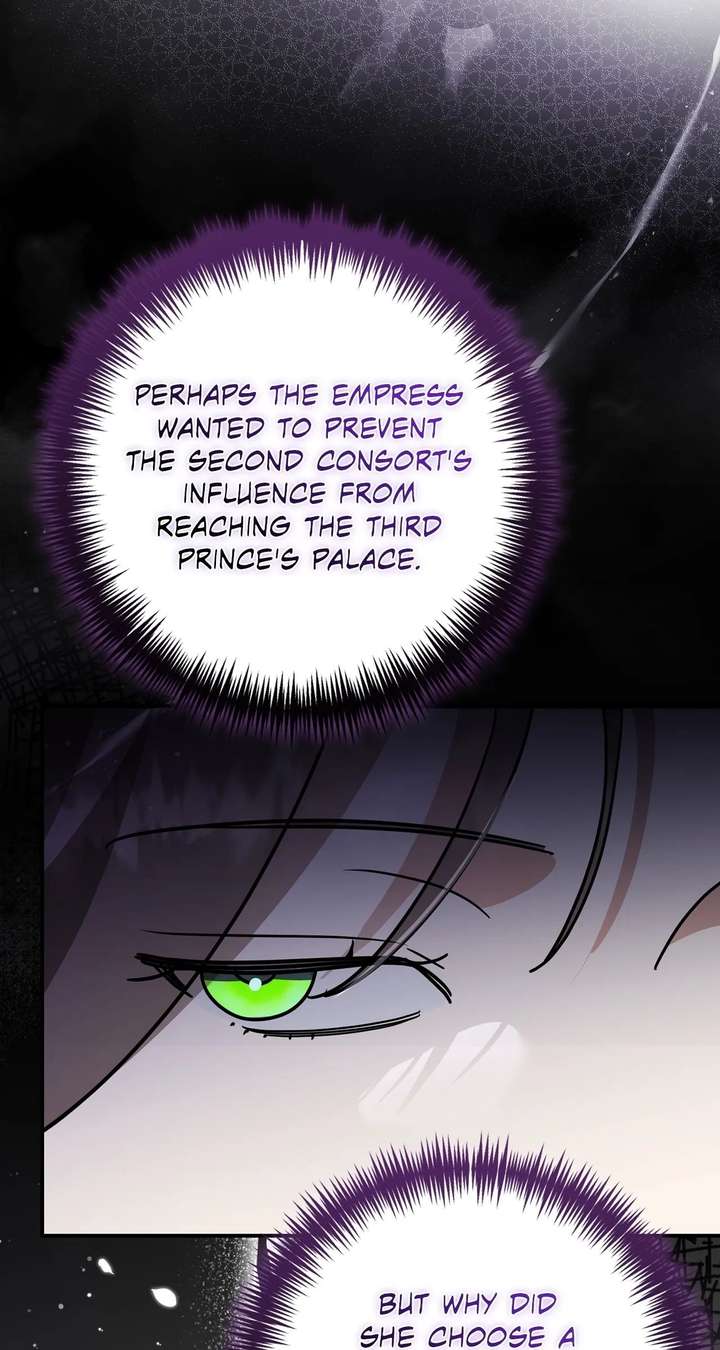 Once an Assassin, Now a Royal Nanny Chapter 13 282 ch 13 33