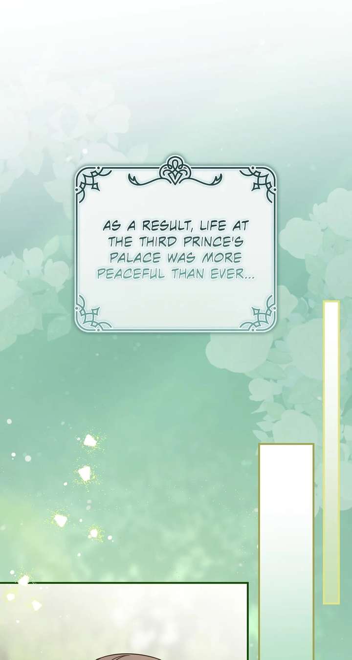 Once an Assassin, Now a Royal Nanny Chapter 13 287 ch 13 38