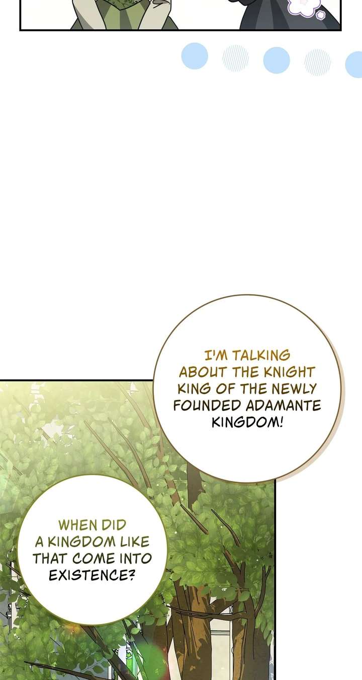 Once an Assassin, Now a Royal Nanny Chapter 13 295 ch 13 46