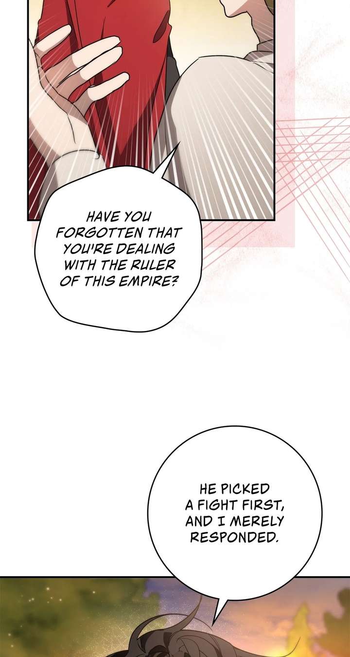 Once an Assassin, Now a Royal Nanny Chapter 13 322 ch 13 73