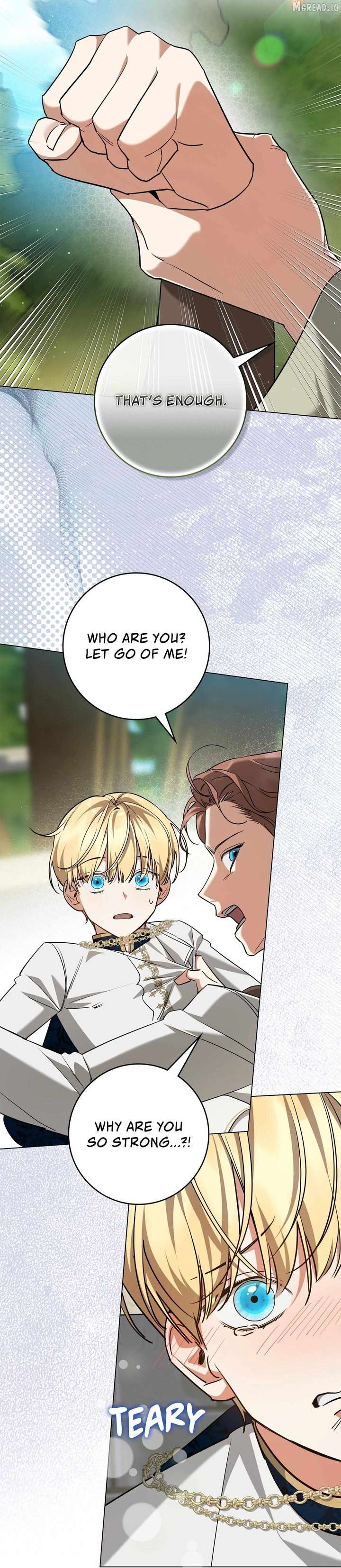 Once an Assassin, Now a Royal Nanny Chapter 17 174 ch 17 42