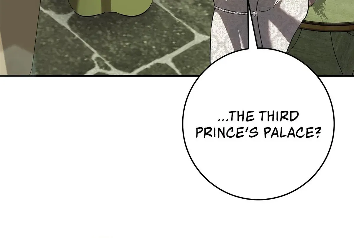 Once an Assassin, Now a Royal Nanny Chapter 21 479 083