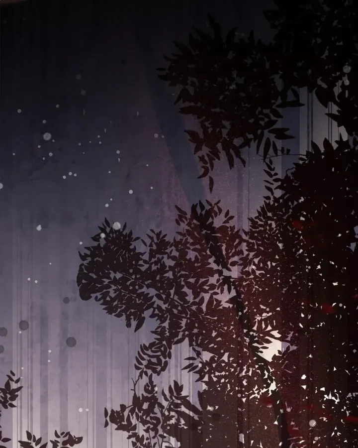 081