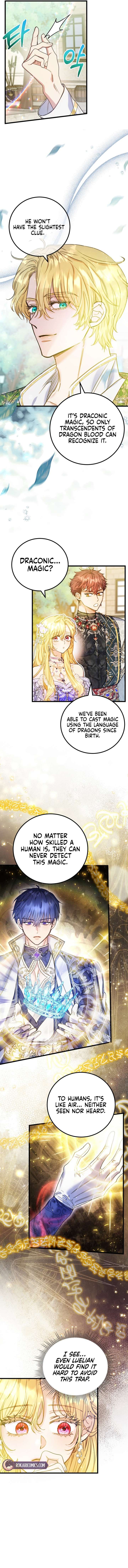 ch 26 6