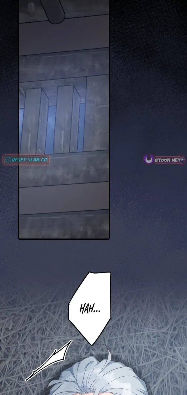 75e02813065b