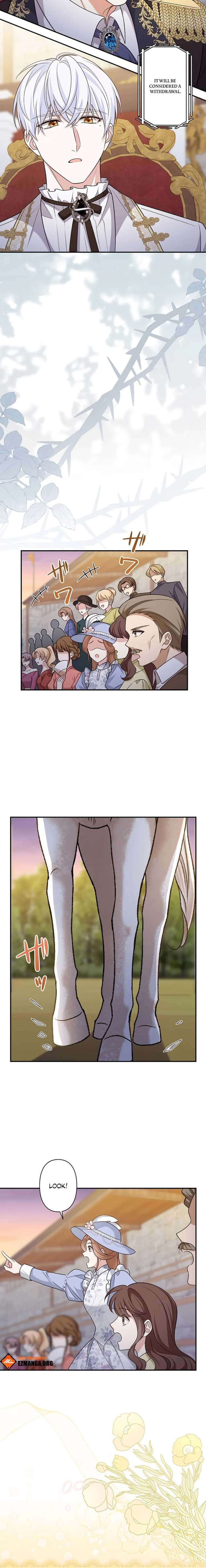 ch 26 24