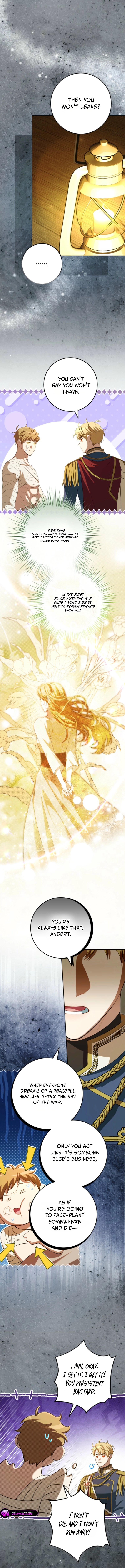 73be805d4278 9 webp