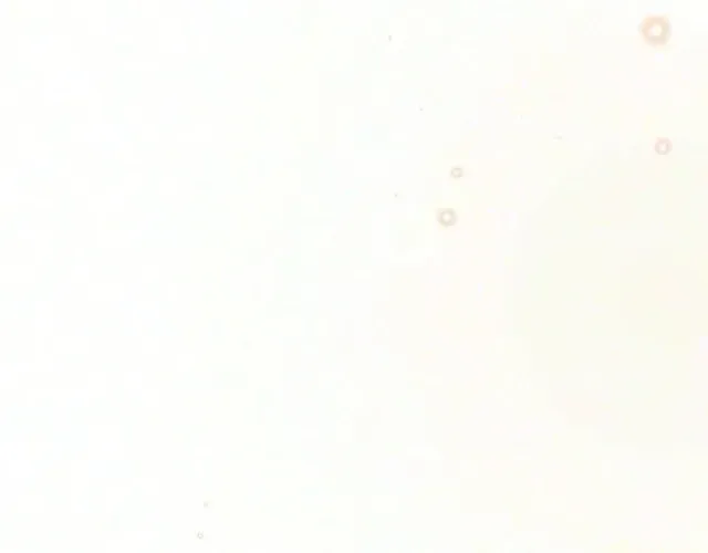 c14cf5c0e2a6