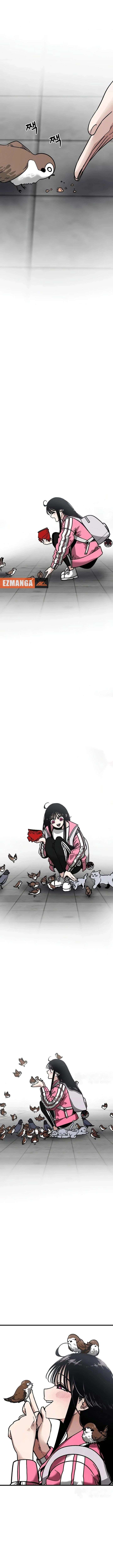ch 21 11