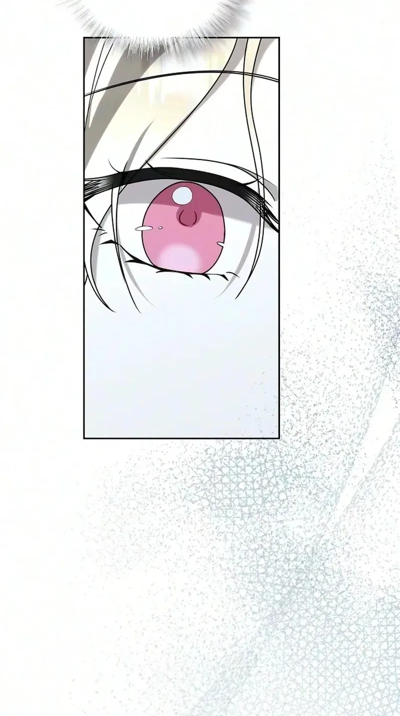 b4c88dc015ae