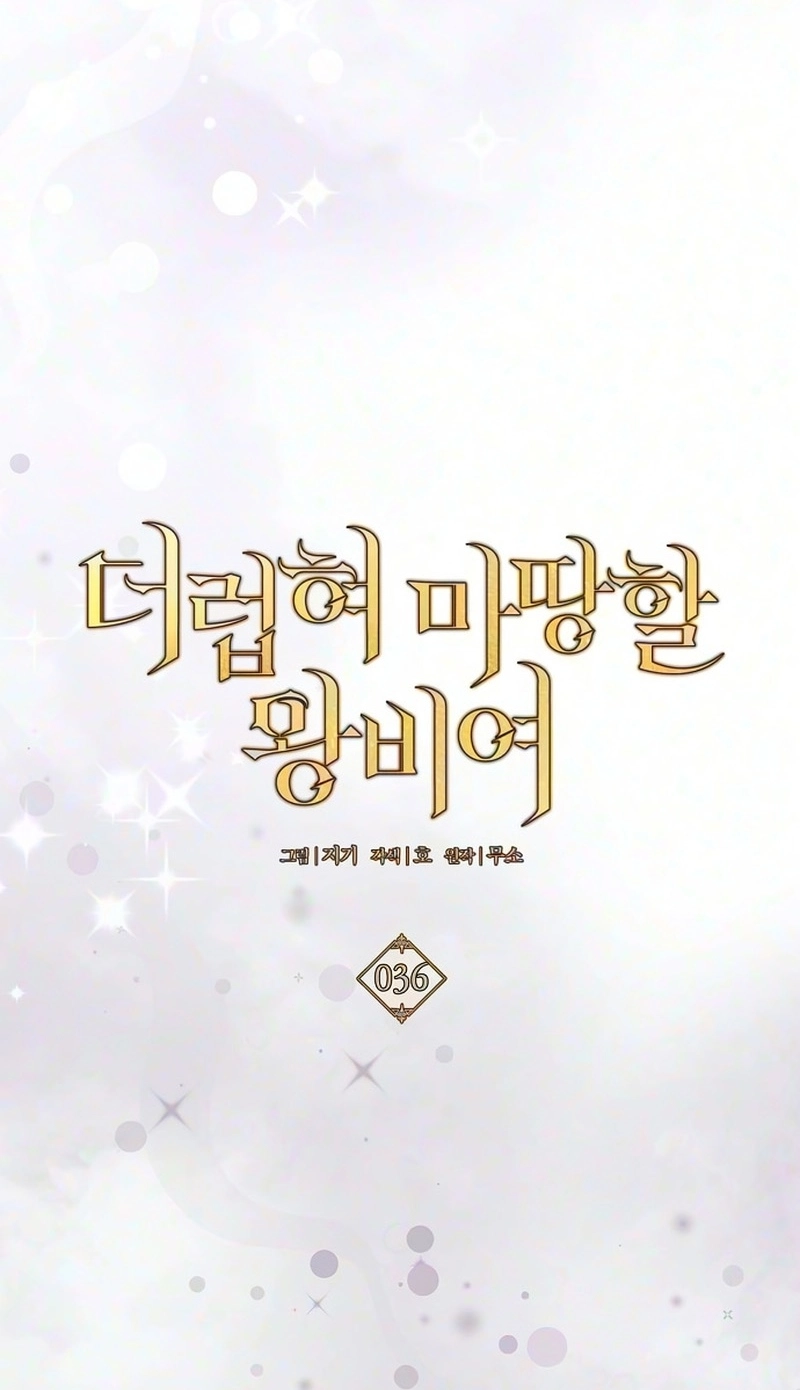 53198cbaa7a3