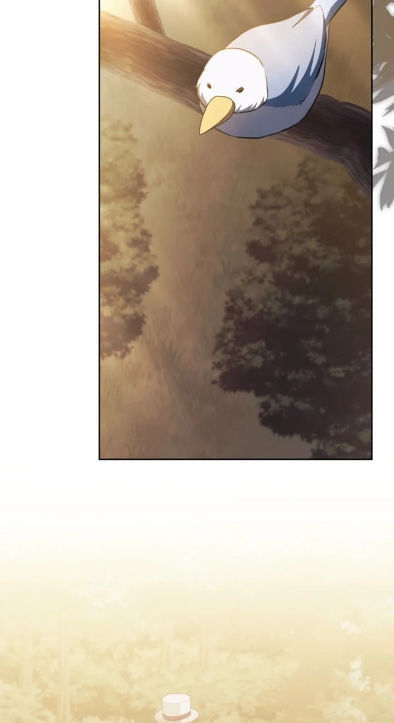8cf5774ea043