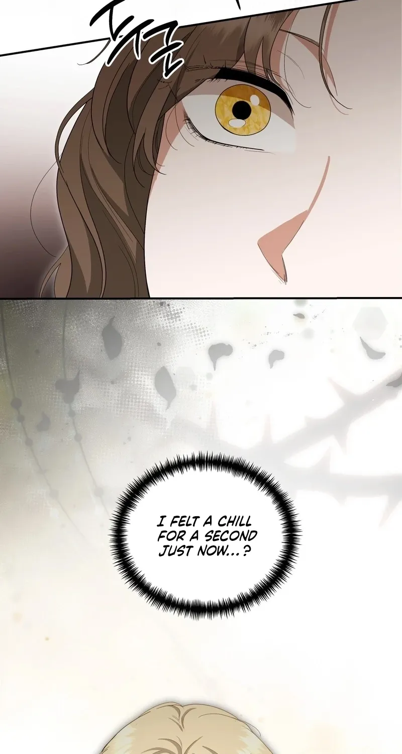 Five Husbands Appeared on My Birthday Chapter 2 314 55