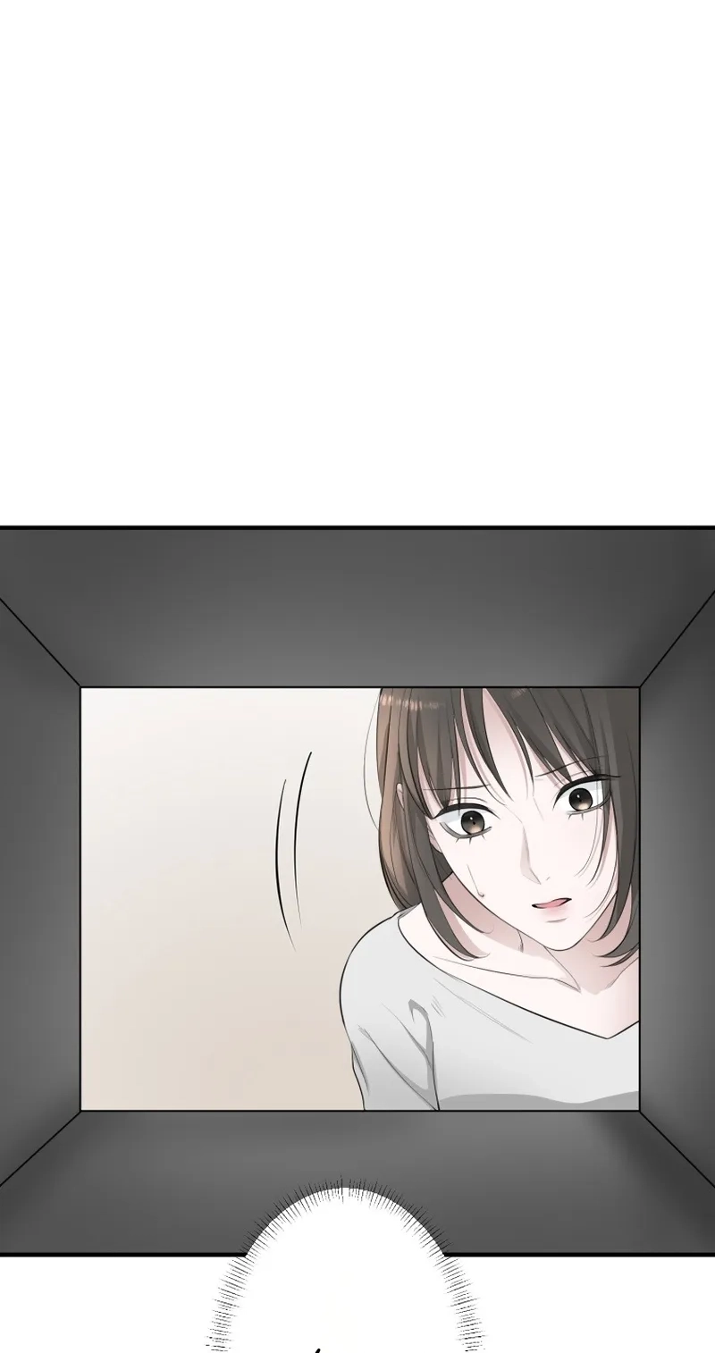54df69e6559b