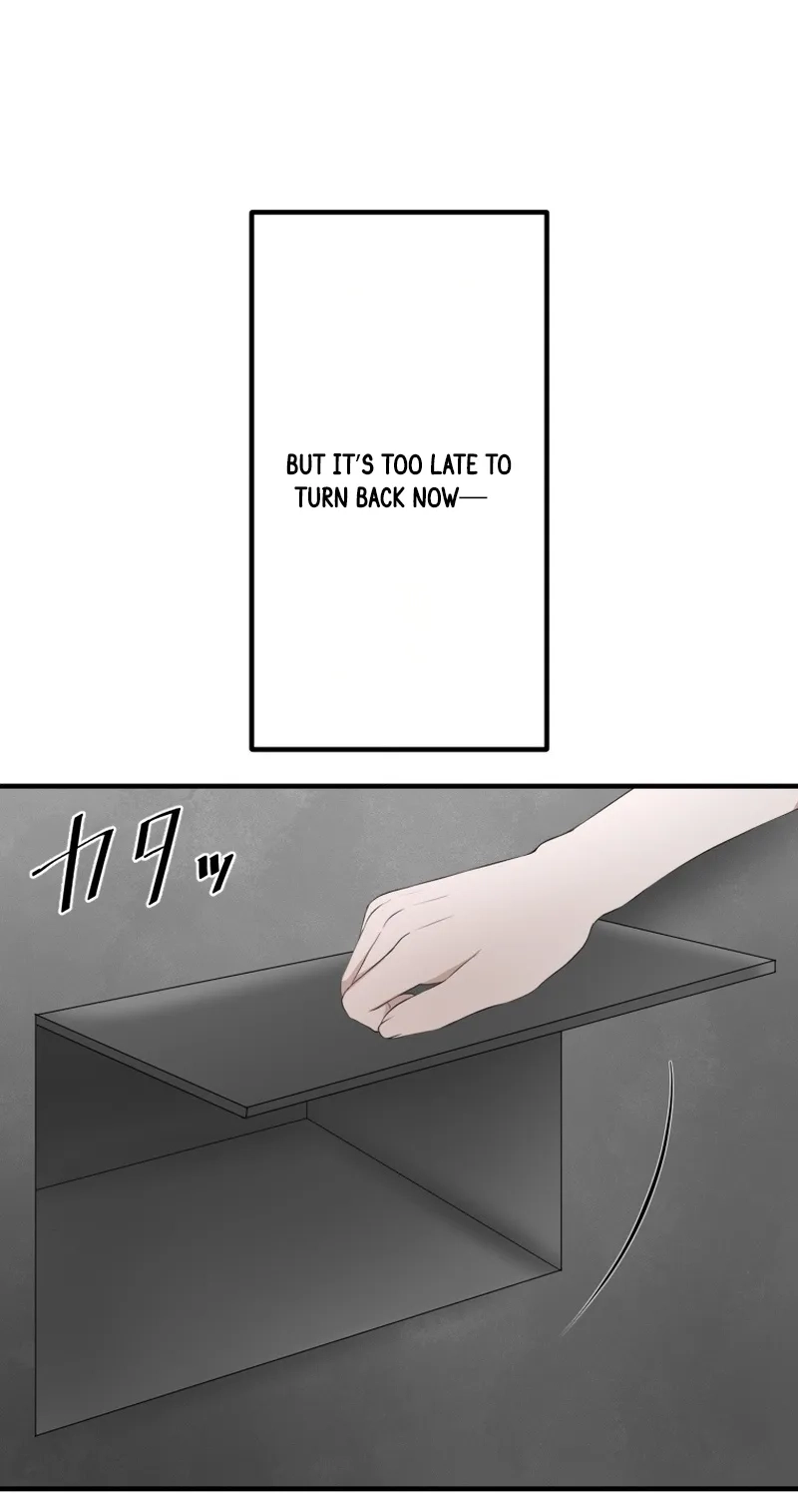 55d5c6e4838e