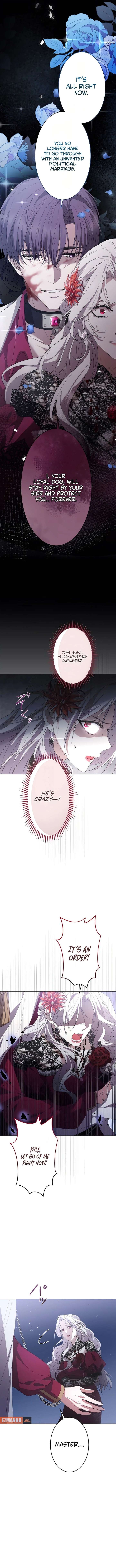 ch 1 19